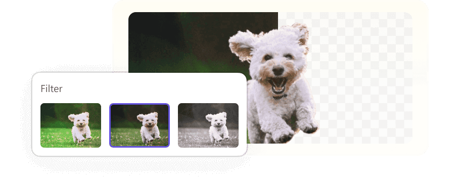 WPS Photos 功能展示